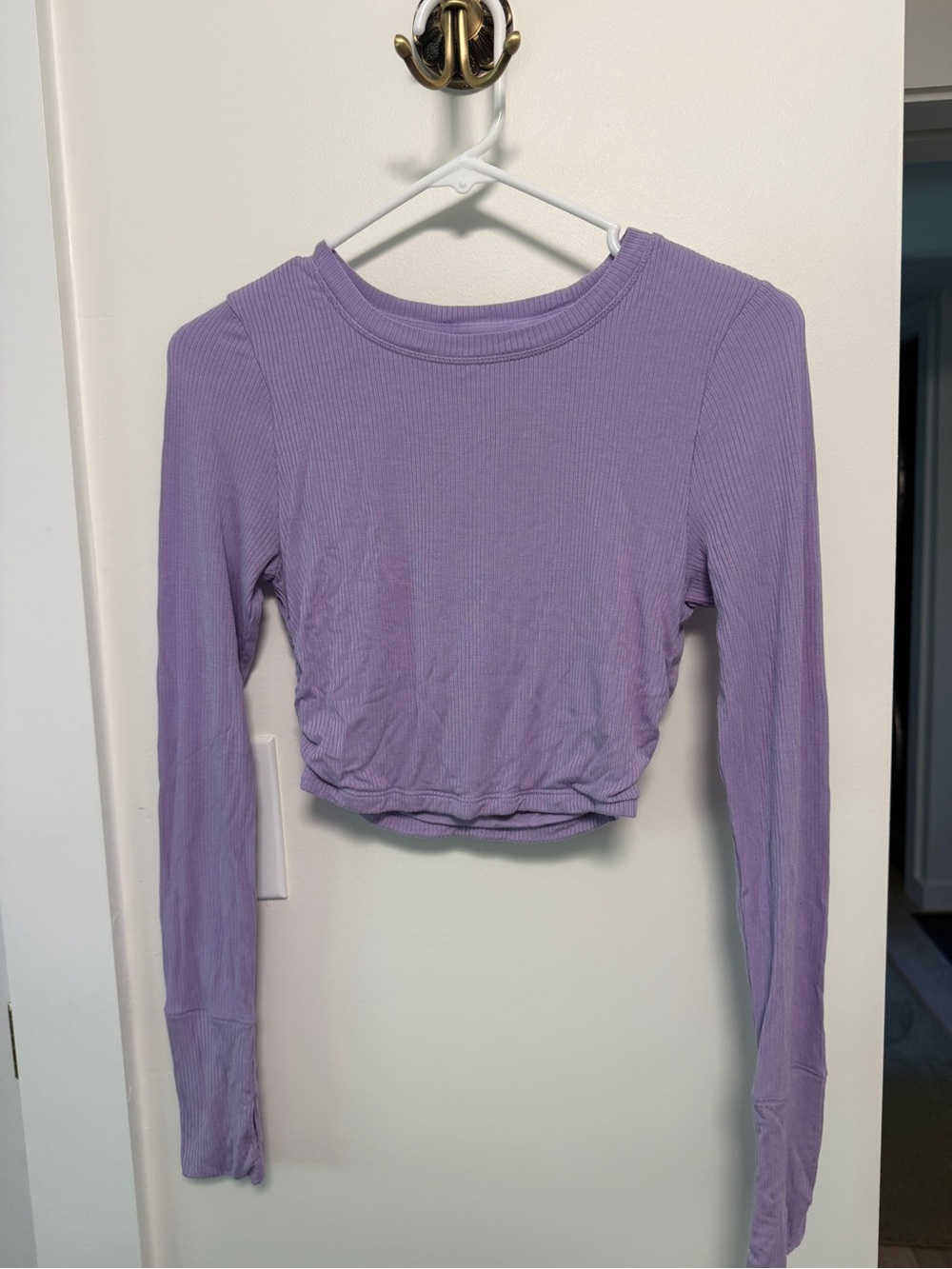 aerie Lilac Ribbed Long-Sleeve Crop Top